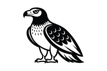 Obraz premium eagle isolated on white background