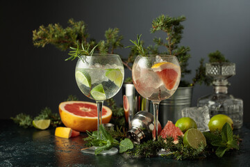 Cocktails gin and tonic with grapefruit and lime slices.