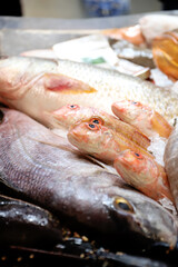 salmonetes y pescado en la pescader&iacute;a fresco