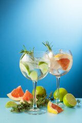 Cocktails gin and tonic with grapefruit and lime slices.