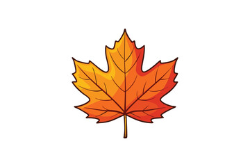 Fototapeta premium maple leaf isolated on white