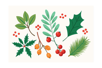 vector illustration of a christmas background with holly