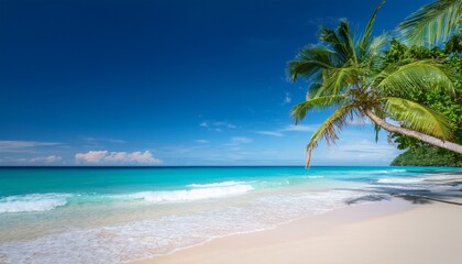 Obraz premium tropical beach soft ocean wave green palm tree and blue sky