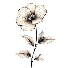 Fototapeta premium Delicate Flower Line Art Photo With Leaves On A White Background