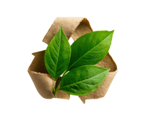 Eco-friendly concept featuring green leaves in recycling symbol
