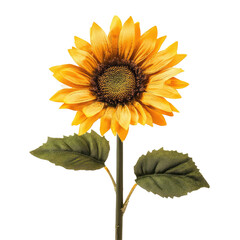 Obraz premium Vibrant sunflower, detailed illustration