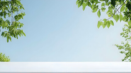 Obraz premium Empty White Tabletop With Green Leaves Against Clear Sky