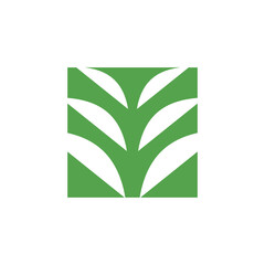 leaf, nature, plant, vector, organic, tree, growth, illustration, green, abstract, bush, symbol, shape, decoration, sign, eco, set, botany, design, environment, ecology, isolated, flora, icon, backgro
