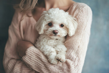 a woman holding a white dog in her arms