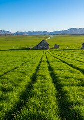 rural landscape with green field and blue sky