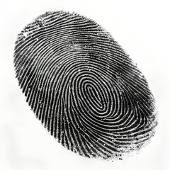 fingerprint on white background