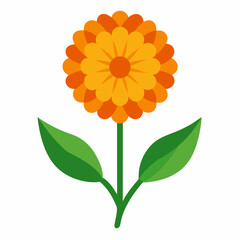 new beautiful calendula flowers natural vector icon on white background