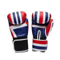 Boxing gloves featuring a vibrant design.