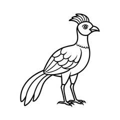 Fototapeta premium Cyornis Banyumas Outline Vector