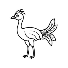 Fototapeta premium Cyornis Banyumas Line Drawing