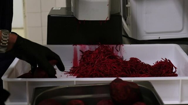 Hands in black gloves grating fresh red beets with food processor in industrial kitchen