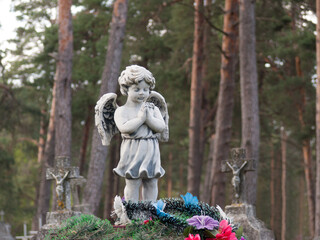 Obraz premium Angel statue in the old cemetery