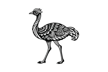 hand drawn vector illustration of an ostrich