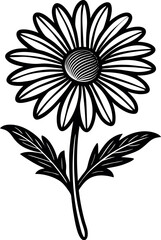 Minimal Chamomile Illustration