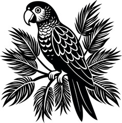 Parrot On Tropical Branch