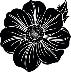 Cute Anemone In Soft Palette