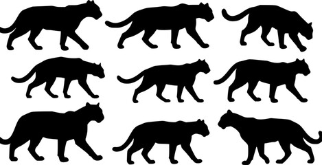 Obraz premium wildcats silhouettes