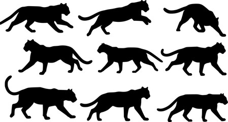wildcats silhouettes