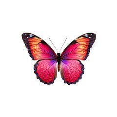 Obraz premium Vibrant Morpho Butterfly With Brilliant Blue Wings Displayed in Full View