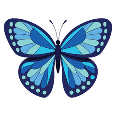 A beautiful blue butterfly vector