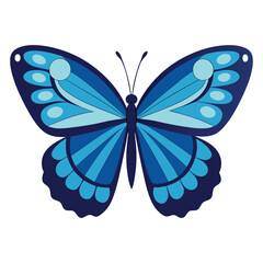 A beautiful blue butterfly vector