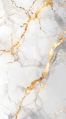 Fototapeta premium White Marble with Gold Veins and Gray Highlights