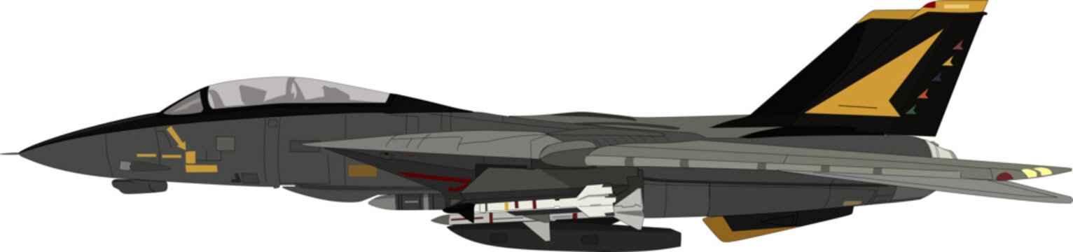 Military jet fighter F 14 Tomcat 