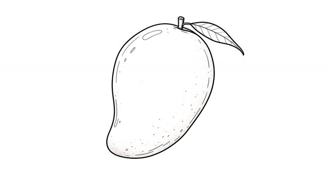 Mango line drawing illustration graphic design