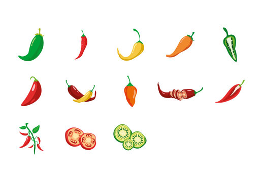 Red And Green Spicy Chili Vegetable Illustration Set