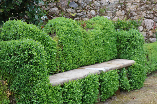 Detalle de banco de piedra en jard&iacute;n con setos que hacen de respaldo y reposabrazos 
