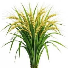 Fototapeta premium Isolated shot rice plant. Rich green leaves frame golden brown rice grains, essential crop agriculture. Rice growth cycle, harvest season, food production, asian cuisine. Perfect for culinary, eco
