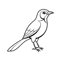 Obraz premium Motmot Bird Sketch Outline Drawing