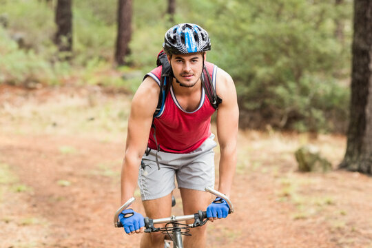 Male cyclist riding bicycle along pine forest trail, wearing helmet, backpack and cycling gloves