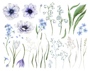 Crocus, anemone, forget-me-not, lily of the valley and green leaves, wild plants, herbs. Set of watercolor isolated illustrations, for spring designs, wedding invitations, cards, branding, packaging.