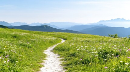Fototapeta premium Pristine mountain path through wildflowers