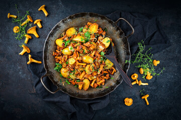 Authentically fried chanterelles with fried potato and onion rings served as top view in a frying pan on a rustic black board © HLPhoto