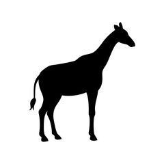 giraffe icon, giraffe silhouette vector illustration-simple silhouette illustration of giraffe,giraffe vector