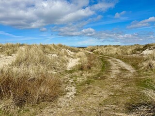 Naturschutzgebiet De Hors auf Texel