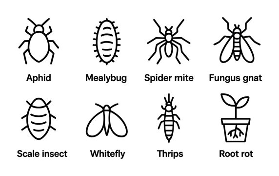 Gardening pest control icon set &ndash; outline style plant protection and disease prevention symbols for horticulture, pest management, and garden care: aphid, mealybug, spider mite, fungus gnat, scale