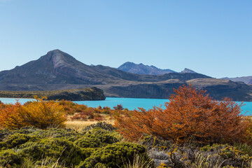 Autumn in Patagonia