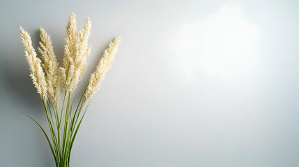 Elegant White Decorative Grass Arrangement On Light Background