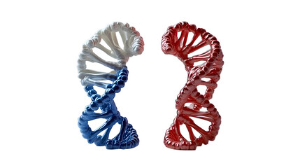 comparison of RNA or ribonucleic acid to DNA or deoxyribonucleic acid ,ibonucleic acid, deoxyribonucleic acid, genetic material, nucleotides, adenine, guanine, cytosine, thymine, uracil, base pairing