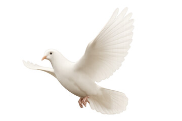 Obraz premium White Dove Flying Gracefully in a Bright Open Sky Above Lush Green Trees