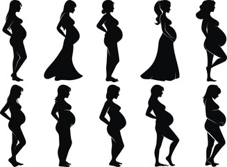A set of pregnant lady silhouette vector illustration pregnant woman