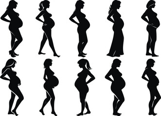 A set of pregnant lady silhouette vector illustration pregnant woman